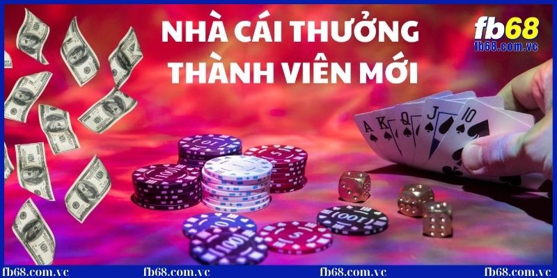 Khuyến mãi cho bet thủ khi tham gia cá cược 
