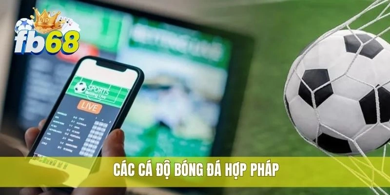 Hướng dẫn cá độ bóng đá hợp pháp cùng nền tảng FB68 2 Các cá độ bóng đá hợp pháp